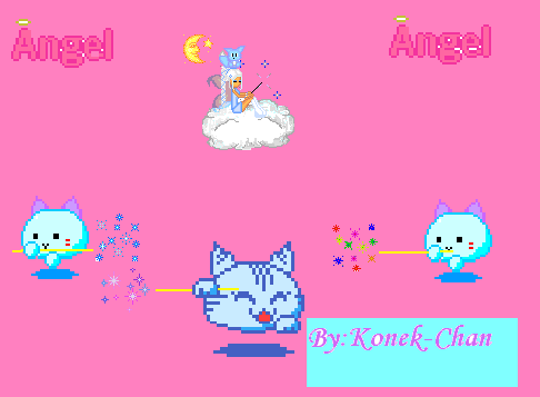 katt.jpg